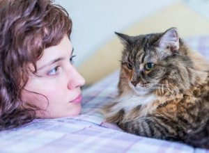 Vad vill katter säga till människor?