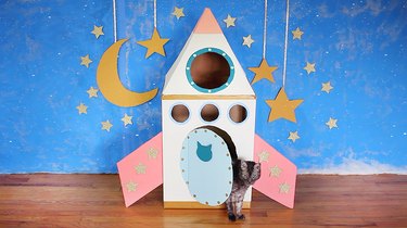 오래된 상자를 사용하여 고양이를 위한 판지 로켓 우주선을 만드는 방법