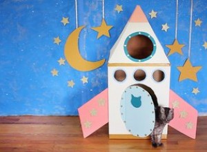 오래된 상자를 사용하여 고양이를 위한 판지 로켓 우주선을 만드는 방법
