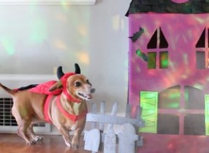 Förvandla lådor till ett PET-förbrännande sött hemsökt husdjur