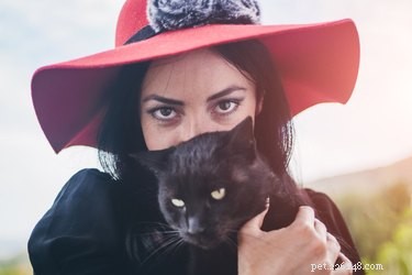 Pourquoi les chats noirs sont-ils considérés comme malchanceux ?