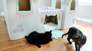 Jak vyrobit impozantní DIY kočičí hrad z kartonových krabic