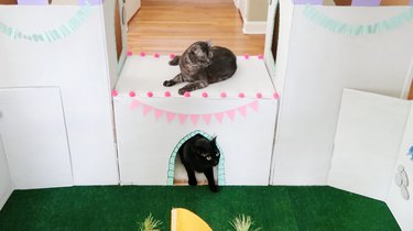 골판지 상자로 멋진 DIY 고양이 성을 만드는 방법