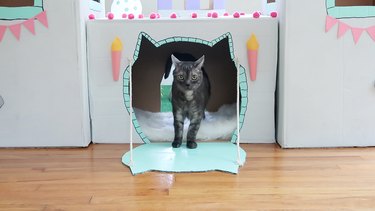 Как сделать эпический кошачий замок своими руками из картонных коробок