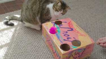 DIYソーダボックス猫のおもちゃの作り方 