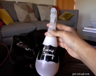 ワインのコルク栓から猫のおもちゃを作る方法 