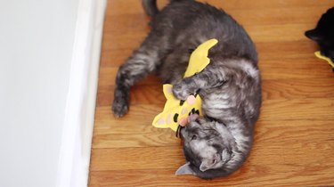 Как сделать игрушки-эмодзи из кошачьей мяты без шитья