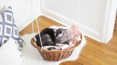 Como transformar uma cesta de lavanderia em uma cama suspensa para gatos
