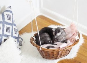 洗濯かごをぶら下がっている猫のベッドに変える方法 