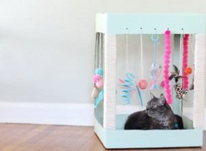 Faça um brinquedo de gatinho fora de uma caixa