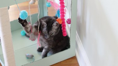 Maak een Kitty Playplace uit een doos