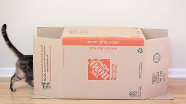 Jak vyrobit retro Kitty Camper z kartonových krabic