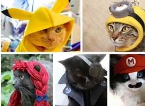 20 super DIY-kostuums voor katten