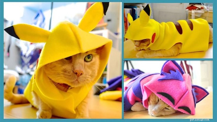 20 super costumes à bricoler pour chats