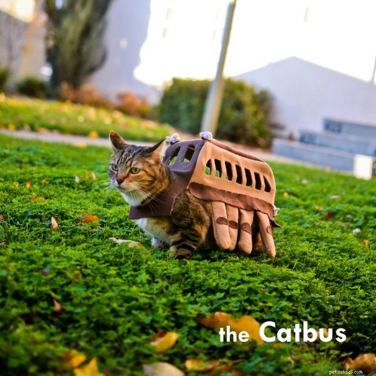 20 super DIY-kompatibla kostymer för katter
