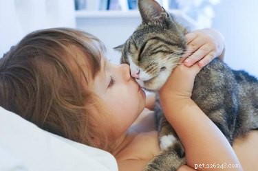 10 způsobů, jak zajistit, aby vás vaše kočka OPRAVDU milovala