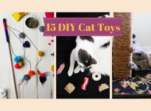 あなたの猫のための15の素晴らしいDIYおもちゃ 