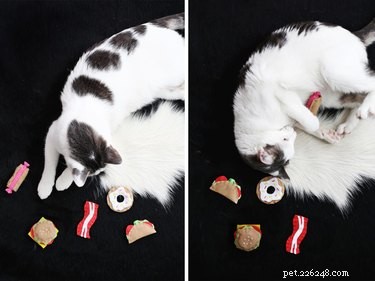 あなたの猫のための15の素晴らしいDIYおもちゃ 