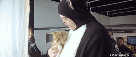 Как снимать кошек, делающих покупки в мини-супермаркете