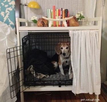 13 IKEA-hack för dina husdjur