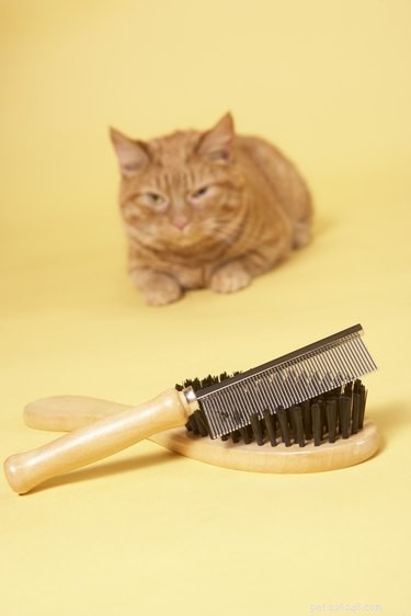 自家製猫の毛玉治療 