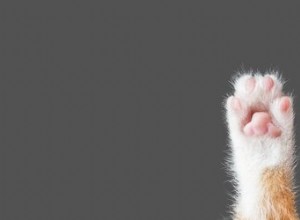 Você deve limpar as patas do seu gato?