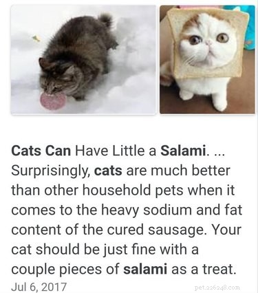猫は本当に小さなサラミをおやつとして持つことができますか？ 