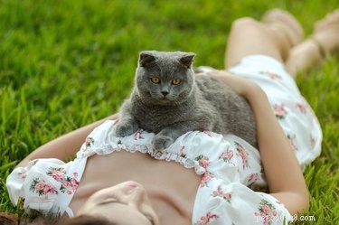 Är katter bra för människors hälsa? Här är de bevisade fördelarna med att ha en katt