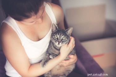Är katter bra för människors hälsa? Här är de bevisade fördelarna med att ha en katt