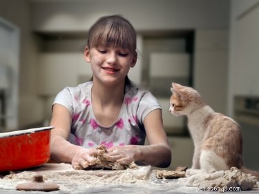 9 продуктов, которые нельзя есть кошкам