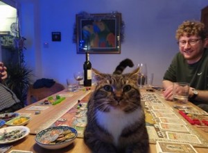 보드 게임을 방해하는 고양이 사진은 매우 혼란스럽습니다.