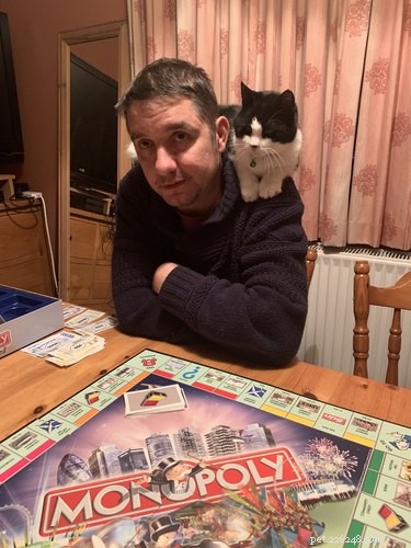 Essas fotos de gatos interrompendo jogos de tabuleiro são adoravelmente caóticas