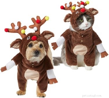 Escolhas de fofura:9 presentes para animais de estimação que são perfeitos para as festas de fim de ano