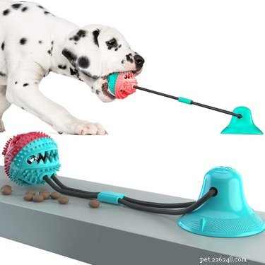 Escolhas de fofura:7 brinquedos interativos para animais de estimação que são perfeitos para curar o tédio