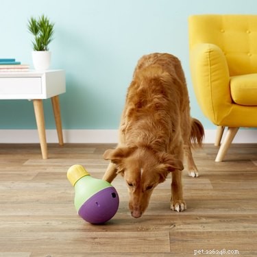 Выбор привлекательности:7 интерактивных игрушек для домашних животных, которые идеально подходят для избавления от скуки