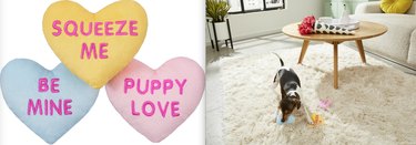 Scelte per la dolcezza:7 regali di San Valentino perfetti per il tuo animale domestico