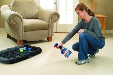 Söthetsval:7 viktiga rengöringsprodukter för husdjursföräldrar