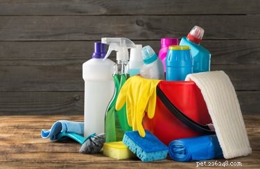 Je Lysol denní čisticí prostředek bezpečný pro použití v blízkosti domácích mazlíčků?