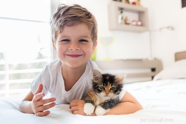 赤ちゃんと幼児を猫に紹介する方法 