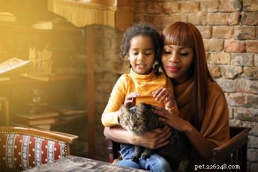 Как знакомить младенцев и малышей с кошками