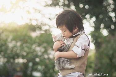 Как знакомить младенцев и малышей с кошками
