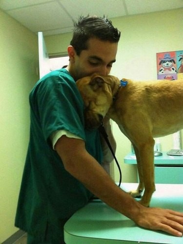 19 z nejroztomilejších fotek zvířat, jaké kdy veterináři pořídili