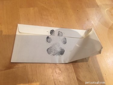 11 schattige brieven over huisdieren die viral gingen omdat ze te puur waren