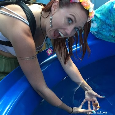 Alles wat u moet weten over de Hawaiiaanse Aqua Farm waar u een zeepaardje in uw handen kunt houden