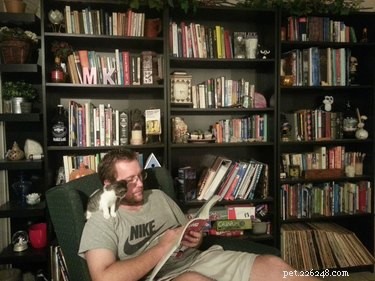 15 husdjur som tycker att böcker är dumma