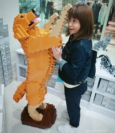 Deze levensgrote LEGO-sculpturen van katten en honden zullen je verbazen
