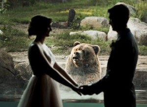 Les noces de mariage photobombées par l ours du zoo invitent toutes les blagues