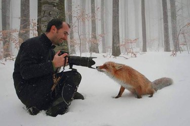 Dieren die natuurfotografen onderbreken is ons nieuwe favoriete ding [17 PHOTOS]