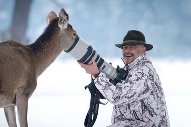 Les animaux interrompant les photographes animaliers sont notre nouveau truc préféré [17 PHOTOS]