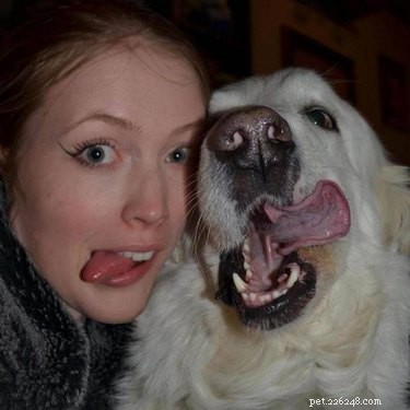 웃으면서 마음을 씻어줄 애완동물의 재미있는 사진 17장